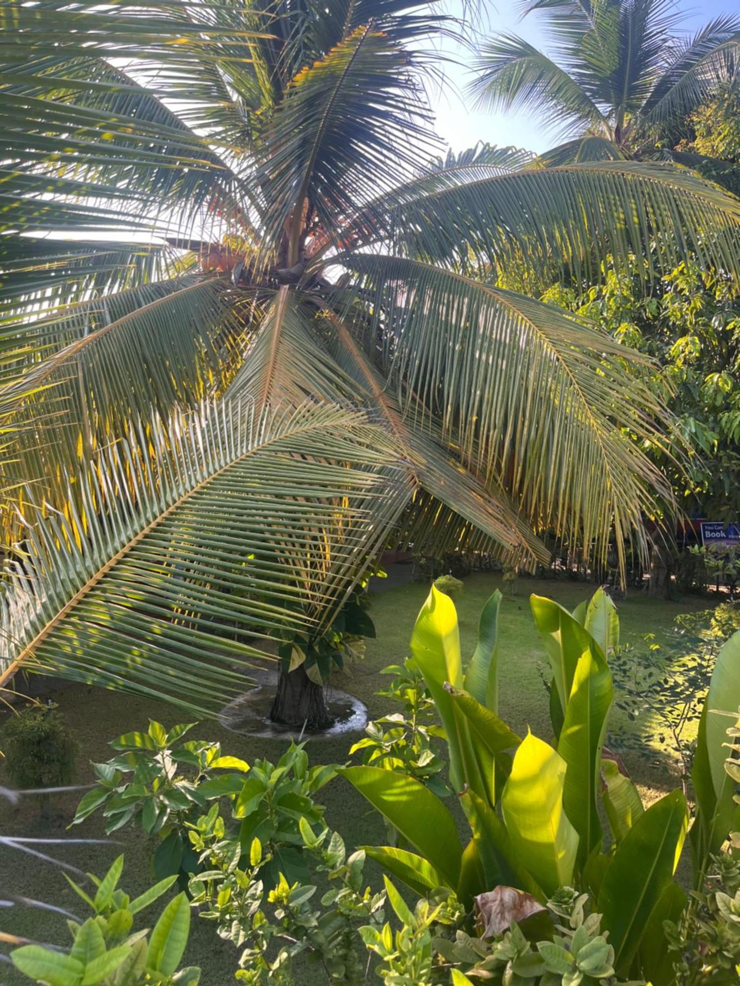Lobster Inn Trincomalee Kültér fotó
