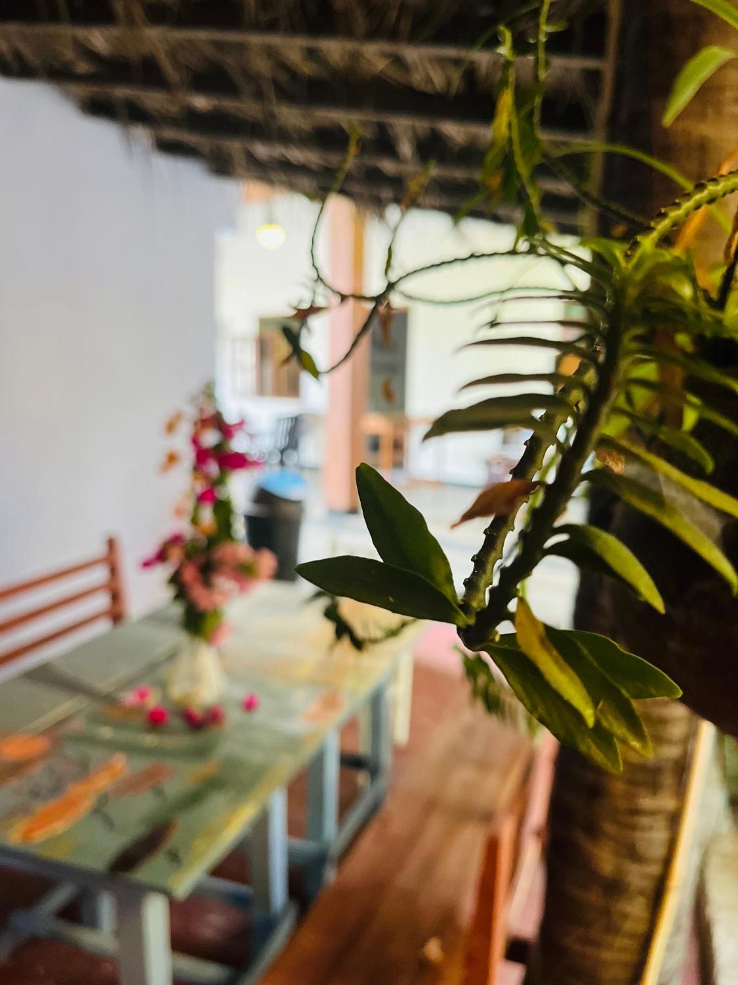 Lobster Inn Trincomalee Kültér fotó